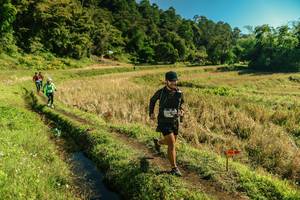 BIB: 
                            <button type="button" onclick="openModal(26692765)" class="btn btn-primary btn-sm float-right btn-popup" data-toggle="modal" data-target=".modal-high-quality">
                        <i class="fas fa-shopping-cart"></i> Add to Cart
                    </button>
                                            <button type="button" onclick="isThisMe(26692765, true)" class="btn btn-success btn-sm float-right btn-popup btn-isme hidden" data-toggle="tooltip" data-placement="bottom" title="นี่คือรูปของคุณใช่ไหม คลิกที่นี่เพื่อเอาเข้าอัลบั้ม">
                        <i class="fas fa-plus"></i> Add to album
                    </button>
                    <button type="button" onclick="isThisMe(26692765, false)" class="btn btn-warning btn-sm float-right btn-popup btn-isnotme hidden">
                        <i class="fas fa-ban"></i> Remove from album
                    </button>