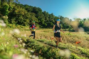 BIB: 
                            <button type="button" onclick="openModal(26636774)" class="btn btn-primary btn-sm float-right btn-popup" data-toggle="modal" data-target=".modal-high-quality">
                        <i class="fas fa-shopping-cart"></i> Add to Cart
                    </button>
                                            <button type="button" onclick="isThisMe(26636774, true)" class="btn btn-success btn-sm float-right btn-popup btn-isme hidden" data-toggle="tooltip" data-placement="bottom" title="นี่คือรูปของคุณใช่ไหม คลิกที่นี่เพื่อเอาเข้าอัลบั้ม">
                        <i class="fas fa-plus"></i> Add to album
                    </button>
                    <button type="button" onclick="isThisMe(26636774, false)" class="btn btn-warning btn-sm float-right btn-popup btn-isnotme hidden">
                        <i class="fas fa-ban"></i> Remove from album
                    </button>