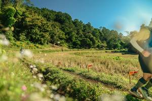 BIB: 
                            <button type="button" onclick="openModal(26680809)" class="btn btn-primary btn-sm float-right btn-popup" data-toggle="modal" data-target=".modal-high-quality">
                        <i class="fas fa-shopping-cart"></i> Add to Cart
                    </button>
                                            <button type="button" onclick="isThisMe(26680809, true)" class="btn btn-success btn-sm float-right btn-popup btn-isme hidden" data-toggle="tooltip" data-placement="bottom" title="นี่คือรูปของคุณใช่ไหม คลิกที่นี่เพื่อเอาเข้าอัลบั้ม">
                        <i class="fas fa-plus"></i> Add to album
                    </button>
                    <button type="button" onclick="isThisMe(26680809, false)" class="btn btn-warning btn-sm float-right btn-popup btn-isnotme hidden">
                        <i class="fas fa-ban"></i> Remove from album
                    </button>