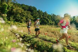 BIB: 
                            <button type="button" onclick="openModal(26637032)" class="btn btn-primary btn-sm float-right btn-popup" data-toggle="modal" data-target=".modal-high-quality">
                        <i class="fas fa-shopping-cart"></i> Add to Cart
                    </button>
                                            <button type="button" onclick="isThisMe(26637032, true)" class="btn btn-success btn-sm float-right btn-popup btn-isme hidden" data-toggle="tooltip" data-placement="bottom" title="นี่คือรูปของคุณใช่ไหม คลิกที่นี่เพื่อเอาเข้าอัลบั้ม">
                        <i class="fas fa-plus"></i> Add to album
                    </button>
                    <button type="button" onclick="isThisMe(26637032, false)" class="btn btn-warning btn-sm float-right btn-popup btn-isnotme hidden">
                        <i class="fas fa-ban"></i> Remove from album
                    </button>