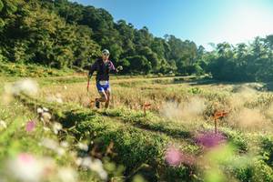 BIB: 
                            <button type="button" onclick="openModal(26633915)" class="btn btn-primary btn-sm float-right btn-popup" data-toggle="modal" data-target=".modal-high-quality">
                        <i class="fas fa-shopping-cart"></i> Add to Cart
                    </button>
                                            <button type="button" onclick="isThisMe(26633915, true)" class="btn btn-success btn-sm float-right btn-popup btn-isme hidden" data-toggle="tooltip" data-placement="bottom" title="นี่คือรูปของคุณใช่ไหม คลิกที่นี่เพื่อเอาเข้าอัลบั้ม">
                        <i class="fas fa-plus"></i> Add to album
                    </button>
                    <button type="button" onclick="isThisMe(26633915, false)" class="btn btn-warning btn-sm float-right btn-popup btn-isnotme hidden">
                        <i class="fas fa-ban"></i> Remove from album
                    </button>