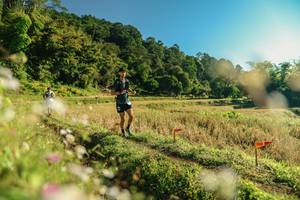 BIB: 
                            <button type="button" onclick="openModal(26637076)" class="btn btn-primary btn-sm float-right btn-popup" data-toggle="modal" data-target=".modal-high-quality">
                        <i class="fas fa-shopping-cart"></i> Add to Cart
                    </button>
                                            <button type="button" onclick="isThisMe(26637076, true)" class="btn btn-success btn-sm float-right btn-popup btn-isme hidden" data-toggle="tooltip" data-placement="bottom" title="นี่คือรูปของคุณใช่ไหม คลิกที่นี่เพื่อเอาเข้าอัลบั้ม">
                        <i class="fas fa-plus"></i> Add to album
                    </button>
                    <button type="button" onclick="isThisMe(26637076, false)" class="btn btn-warning btn-sm float-right btn-popup btn-isnotme hidden">
                        <i class="fas fa-ban"></i> Remove from album
                    </button>