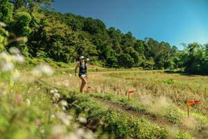 BIB: 
                            <button type="button" onclick="openModal(26708655)" class="btn btn-primary btn-sm float-right btn-popup" data-toggle="modal" data-target=".modal-high-quality">
                        <i class="fas fa-shopping-cart"></i> Add to Cart
                    </button>
                                            <button type="button" onclick="isThisMe(26708655, true)" class="btn btn-success btn-sm float-right btn-popup btn-isme hidden" data-toggle="tooltip" data-placement="bottom" title="นี่คือรูปของคุณใช่ไหม คลิกที่นี่เพื่อเอาเข้าอัลบั้ม">
                        <i class="fas fa-plus"></i> Add to album
                    </button>
                    <button type="button" onclick="isThisMe(26708655, false)" class="btn btn-warning btn-sm float-right btn-popup btn-isnotme hidden">
                        <i class="fas fa-ban"></i> Remove from album
                    </button>