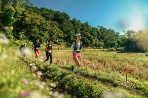 BIB: 
                            <button type="button" onclick="openModal(26638479)" class="btn btn-primary btn-sm float-right btn-popup" data-toggle="modal" data-target=".modal-high-quality">
                        <i class="fas fa-shopping-cart"></i> Add to Cart
                    </button>
                                            <button type="button" onclick="isThisMe(26638479, true)" class="btn btn-success btn-sm float-right btn-popup btn-isme hidden" data-toggle="tooltip" data-placement="bottom" title="นี่คือรูปของคุณใช่ไหม คลิกที่นี่เพื่อเอาเข้าอัลบั้ม">
                        <i class="fas fa-plus"></i> Add to album
                    </button>
                    <button type="button" onclick="isThisMe(26638479, false)" class="btn btn-warning btn-sm float-right btn-popup btn-isnotme hidden">
                        <i class="fas fa-ban"></i> Remove from album
                    </button>