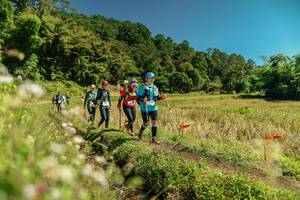 BIB: 
                            <button type="button" onclick="openModal(26723252)" class="btn btn-primary btn-sm float-right btn-popup" data-toggle="modal" data-target=".modal-high-quality">
                        <i class="fas fa-shopping-cart"></i> Add to Cart
                    </button>
                                            <button type="button" onclick="isThisMe(26723252, true)" class="btn btn-success btn-sm float-right btn-popup btn-isme hidden" data-toggle="tooltip" data-placement="bottom" title="นี่คือรูปของคุณใช่ไหม คลิกที่นี่เพื่อเอาเข้าอัลบั้ม">
                        <i class="fas fa-plus"></i> Add to album
                    </button>
                    <button type="button" onclick="isThisMe(26723252, false)" class="btn btn-warning btn-sm float-right btn-popup btn-isnotme hidden">
                        <i class="fas fa-ban"></i> Remove from album
                    </button>