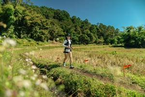 BIB: 
                            <button type="button" onclick="openModal(26725689)" class="btn btn-primary btn-sm float-right btn-popup" data-toggle="modal" data-target=".modal-high-quality">
                        <i class="fas fa-shopping-cart"></i> Add to Cart
                    </button>
                                            <button type="button" onclick="isThisMe(26725689, true)" class="btn btn-success btn-sm float-right btn-popup btn-isme hidden" data-toggle="tooltip" data-placement="bottom" title="นี่คือรูปของคุณใช่ไหม คลิกที่นี่เพื่อเอาเข้าอัลบั้ม">
                        <i class="fas fa-plus"></i> Add to album
                    </button>
                    <button type="button" onclick="isThisMe(26725689, false)" class="btn btn-warning btn-sm float-right btn-popup btn-isnotme hidden">
                        <i class="fas fa-ban"></i> Remove from album
                    </button>