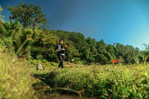 BIB: 
                            <button type="button" onclick="openModal(26701650)" class="btn btn-primary btn-sm float-right btn-popup" data-toggle="modal" data-target=".modal-high-quality">
                        <i class="fas fa-shopping-cart"></i> Add to Cart
                    </button>
                                            <button type="button" onclick="isThisMe(26701650, true)" class="btn btn-success btn-sm float-right btn-popup btn-isme hidden" data-toggle="tooltip" data-placement="bottom" title="นี่คือรูปของคุณใช่ไหม คลิกที่นี่เพื่อเอาเข้าอัลบั้ม">
                        <i class="fas fa-plus"></i> Add to album
                    </button>
                    <button type="button" onclick="isThisMe(26701650, false)" class="btn btn-warning btn-sm float-right btn-popup btn-isnotme hidden">
                        <i class="fas fa-ban"></i> Remove from album
                    </button>