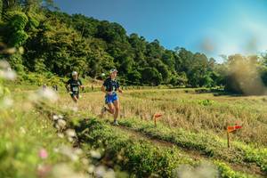 BIB: 
                            <button type="button" onclick="openModal(26678296)" class="btn btn-primary btn-sm float-right btn-popup" data-toggle="modal" data-target=".modal-high-quality">
                        <i class="fas fa-shopping-cart"></i> Add to Cart
                    </button>
                                            <button type="button" onclick="isThisMe(26678296, true)" class="btn btn-success btn-sm float-right btn-popup btn-isme hidden" data-toggle="tooltip" data-placement="bottom" title="นี่คือรูปของคุณใช่ไหม คลิกที่นี่เพื่อเอาเข้าอัลบั้ม">
                        <i class="fas fa-plus"></i> Add to album
                    </button>
                    <button type="button" onclick="isThisMe(26678296, false)" class="btn btn-warning btn-sm float-right btn-popup btn-isnotme hidden">
                        <i class="fas fa-ban"></i> Remove from album
                    </button>