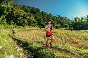 BIB: 
                            <button type="button" onclick="openModal(26697014)" class="btn btn-primary btn-sm float-right btn-popup" data-toggle="modal" data-target=".modal-high-quality">
                        <i class="fas fa-shopping-cart"></i> Add to Cart
                    </button>
                                            <button type="button" onclick="isThisMe(26697014, true)" class="btn btn-success btn-sm float-right btn-popup btn-isme hidden" data-toggle="tooltip" data-placement="bottom" title="นี่คือรูปของคุณใช่ไหม คลิกที่นี่เพื่อเอาเข้าอัลบั้ม">
                        <i class="fas fa-plus"></i> Add to album
                    </button>
                    <button type="button" onclick="isThisMe(26697014, false)" class="btn btn-warning btn-sm float-right btn-popup btn-isnotme hidden">
                        <i class="fas fa-ban"></i> Remove from album
                    </button>