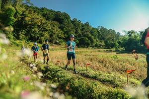 BIB: 
                            <button type="button" onclick="openModal(26637201)" class="btn btn-primary btn-sm float-right btn-popup" data-toggle="modal" data-target=".modal-high-quality">
                        <i class="fas fa-shopping-cart"></i> Add to Cart
                    </button>
                                            <button type="button" onclick="isThisMe(26637201, true)" class="btn btn-success btn-sm float-right btn-popup btn-isme hidden" data-toggle="tooltip" data-placement="bottom" title="นี่คือรูปของคุณใช่ไหม คลิกที่นี่เพื่อเอาเข้าอัลบั้ม">
                        <i class="fas fa-plus"></i> Add to album
                    </button>
                    <button type="button" onclick="isThisMe(26637201, false)" class="btn btn-warning btn-sm float-right btn-popup btn-isnotme hidden">
                        <i class="fas fa-ban"></i> Remove from album
                    </button>