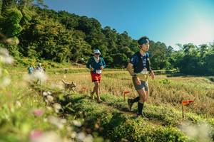 BIB: 
                            <button type="button" onclick="openModal(26637206)" class="btn btn-primary btn-sm float-right btn-popup" data-toggle="modal" data-target=".modal-high-quality">
                        <i class="fas fa-shopping-cart"></i> Add to Cart
                    </button>
                                            <button type="button" onclick="isThisMe(26637206, true)" class="btn btn-success btn-sm float-right btn-popup btn-isme hidden" data-toggle="tooltip" data-placement="bottom" title="นี่คือรูปของคุณใช่ไหม คลิกที่นี่เพื่อเอาเข้าอัลบั้ม">
                        <i class="fas fa-plus"></i> Add to album
                    </button>
                    <button type="button" onclick="isThisMe(26637206, false)" class="btn btn-warning btn-sm float-right btn-popup btn-isnotme hidden">
                        <i class="fas fa-ban"></i> Remove from album
                    </button>