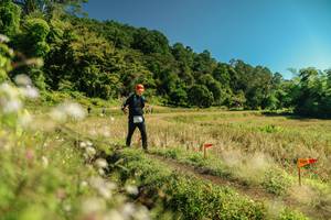 BIB: 
                            <button type="button" onclick="openModal(26708719)" class="btn btn-primary btn-sm float-right btn-popup" data-toggle="modal" data-target=".modal-high-quality">
                        <i class="fas fa-shopping-cart"></i> Add to Cart
                    </button>
                                            <button type="button" onclick="isThisMe(26708719, true)" class="btn btn-success btn-sm float-right btn-popup btn-isme hidden" data-toggle="tooltip" data-placement="bottom" title="นี่คือรูปของคุณใช่ไหม คลิกที่นี่เพื่อเอาเข้าอัลบั้ม">
                        <i class="fas fa-plus"></i> Add to album
                    </button>
                    <button type="button" onclick="isThisMe(26708719, false)" class="btn btn-warning btn-sm float-right btn-popup btn-isnotme hidden">
                        <i class="fas fa-ban"></i> Remove from album
                    </button>