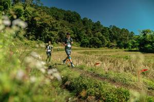 BIB: 
                            <button type="button" onclick="openModal(26738334)" class="btn btn-primary btn-sm float-right btn-popup" data-toggle="modal" data-target=".modal-high-quality">
                        <i class="fas fa-shopping-cart"></i> Add to Cart
                    </button>
                                            <button type="button" onclick="isThisMe(26738334, true)" class="btn btn-success btn-sm float-right btn-popup btn-isme hidden" data-toggle="tooltip" data-placement="bottom" title="นี่คือรูปของคุณใช่ไหม คลิกที่นี่เพื่อเอาเข้าอัลบั้ม">
                        <i class="fas fa-plus"></i> Add to album
                    </button>
                    <button type="button" onclick="isThisMe(26738334, false)" class="btn btn-warning btn-sm float-right btn-popup btn-isnotme hidden">
                        <i class="fas fa-ban"></i> Remove from album
                    </button>