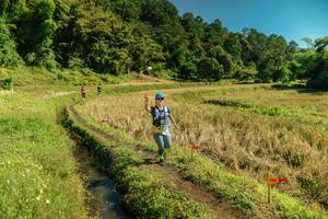 BIB: 
                            <button type="button" onclick="openModal(26702106)" class="btn btn-primary btn-sm float-right btn-popup" data-toggle="modal" data-target=".modal-high-quality">
                        <i class="fas fa-shopping-cart"></i> Add to Cart
                    </button>
                                            <button type="button" onclick="isThisMe(26702106, true)" class="btn btn-success btn-sm float-right btn-popup btn-isme hidden" data-toggle="tooltip" data-placement="bottom" title="นี่คือรูปของคุณใช่ไหม คลิกที่นี่เพื่อเอาเข้าอัลบั้ม">
                        <i class="fas fa-plus"></i> Add to album
                    </button>
                    <button type="button" onclick="isThisMe(26702106, false)" class="btn btn-warning btn-sm float-right btn-popup btn-isnotme hidden">
                        <i class="fas fa-ban"></i> Remove from album
                    </button>