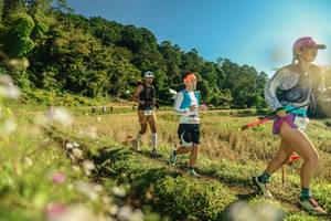 BIB: 
                            <button type="button" onclick="openModal(26637658)" class="btn btn-primary btn-sm float-right btn-popup" data-toggle="modal" data-target=".modal-high-quality">
                        <i class="fas fa-shopping-cart"></i> Add to Cart
                    </button>
                                            <button type="button" onclick="isThisMe(26637658, true)" class="btn btn-success btn-sm float-right btn-popup btn-isme hidden" data-toggle="tooltip" data-placement="bottom" title="นี่คือรูปของคุณใช่ไหม คลิกที่นี่เพื่อเอาเข้าอัลบั้ม">
                        <i class="fas fa-plus"></i> Add to album
                    </button>
                    <button type="button" onclick="isThisMe(26637658, false)" class="btn btn-warning btn-sm float-right btn-popup btn-isnotme hidden">
                        <i class="fas fa-ban"></i> Remove from album
                    </button>