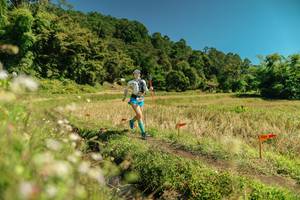 BIB: 
                            <button type="button" onclick="openModal(26731972)" class="btn btn-primary btn-sm float-right btn-popup" data-toggle="modal" data-target=".modal-high-quality">
                        <i class="fas fa-shopping-cart"></i> Add to Cart
                    </button>
                                            <button type="button" onclick="isThisMe(26731972, true)" class="btn btn-success btn-sm float-right btn-popup btn-isme hidden" data-toggle="tooltip" data-placement="bottom" title="นี่คือรูปของคุณใช่ไหม คลิกที่นี่เพื่อเอาเข้าอัลบั้ม">
                        <i class="fas fa-plus"></i> Add to album
                    </button>
                    <button type="button" onclick="isThisMe(26731972, false)" class="btn btn-warning btn-sm float-right btn-popup btn-isnotme hidden">
                        <i class="fas fa-ban"></i> Remove from album
                    </button>