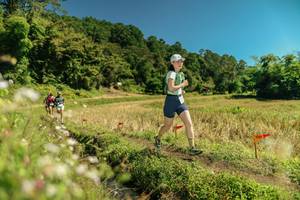 BIB: 
                            <button type="button" onclick="openModal(26722275)" class="btn btn-primary btn-sm float-right btn-popup" data-toggle="modal" data-target=".modal-high-quality">
                        <i class="fas fa-shopping-cart"></i> Add to Cart
                    </button>
                                            <button type="button" onclick="isThisMe(26722275, true)" class="btn btn-success btn-sm float-right btn-popup btn-isme hidden" data-toggle="tooltip" data-placement="bottom" title="นี่คือรูปของคุณใช่ไหม คลิกที่นี่เพื่อเอาเข้าอัลบั้ม">
                        <i class="fas fa-plus"></i> Add to album
                    </button>
                    <button type="button" onclick="isThisMe(26722275, false)" class="btn btn-warning btn-sm float-right btn-popup btn-isnotme hidden">
                        <i class="fas fa-ban"></i> Remove from album
                    </button>