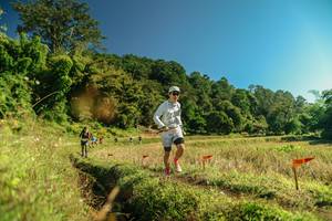 BIB: 
                            <button type="button" onclick="openModal(26693204)" class="btn btn-primary btn-sm float-right btn-popup" data-toggle="modal" data-target=".modal-high-quality">
                        <i class="fas fa-shopping-cart"></i> Add to Cart
                    </button>
                                            <button type="button" onclick="isThisMe(26693204, true)" class="btn btn-success btn-sm float-right btn-popup btn-isme hidden" data-toggle="tooltip" data-placement="bottom" title="นี่คือรูปของคุณใช่ไหม คลิกที่นี่เพื่อเอาเข้าอัลบั้ม">
                        <i class="fas fa-plus"></i> Add to album
                    </button>
                    <button type="button" onclick="isThisMe(26693204, false)" class="btn btn-warning btn-sm float-right btn-popup btn-isnotme hidden">
                        <i class="fas fa-ban"></i> Remove from album
                    </button>