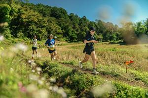 BIB: 
                            <button type="button" onclick="openModal(26698916)" class="btn btn-primary btn-sm float-right btn-popup" data-toggle="modal" data-target=".modal-high-quality">
                        <i class="fas fa-shopping-cart"></i> Add to Cart
                    </button>
                                            <button type="button" onclick="isThisMe(26698916, true)" class="btn btn-success btn-sm float-right btn-popup btn-isme hidden" data-toggle="tooltip" data-placement="bottom" title="นี่คือรูปของคุณใช่ไหม คลิกที่นี่เพื่อเอาเข้าอัลบั้ม">
                        <i class="fas fa-plus"></i> Add to album
                    </button>
                    <button type="button" onclick="isThisMe(26698916, false)" class="btn btn-warning btn-sm float-right btn-popup btn-isnotme hidden">
                        <i class="fas fa-ban"></i> Remove from album
                    </button>