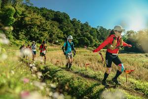 BIB: 
                            <button type="button" onclick="openModal(26637908)" class="btn btn-primary btn-sm float-right btn-popup" data-toggle="modal" data-target=".modal-high-quality">
                        <i class="fas fa-shopping-cart"></i> Add to Cart
                    </button>
                                            <button type="button" onclick="isThisMe(26637908, true)" class="btn btn-success btn-sm float-right btn-popup btn-isme hidden" data-toggle="tooltip" data-placement="bottom" title="นี่คือรูปของคุณใช่ไหม คลิกที่นี่เพื่อเอาเข้าอัลบั้ม">
                        <i class="fas fa-plus"></i> Add to album
                    </button>
                    <button type="button" onclick="isThisMe(26637908, false)" class="btn btn-warning btn-sm float-right btn-popup btn-isnotme hidden">
                        <i class="fas fa-ban"></i> Remove from album
                    </button>