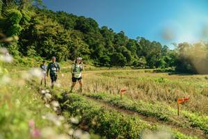 BIB: 
                            <button type="button" onclick="openModal(26690540)" class="btn btn-primary btn-sm float-right btn-popup" data-toggle="modal" data-target=".modal-high-quality">
                        <i class="fas fa-shopping-cart"></i> Add to Cart
                    </button>
                                            <button type="button" onclick="isThisMe(26690540, true)" class="btn btn-success btn-sm float-right btn-popup btn-isme hidden" data-toggle="tooltip" data-placement="bottom" title="นี่คือรูปของคุณใช่ไหม คลิกที่นี่เพื่อเอาเข้าอัลบั้ม">
                        <i class="fas fa-plus"></i> Add to album
                    </button>
                    <button type="button" onclick="isThisMe(26690540, false)" class="btn btn-warning btn-sm float-right btn-popup btn-isnotme hidden">
                        <i class="fas fa-ban"></i> Remove from album
                    </button>