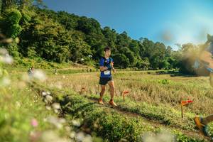 BIB: 
                            <button type="button" onclick="openModal(26679501)" class="btn btn-primary btn-sm float-right btn-popup" data-toggle="modal" data-target=".modal-high-quality">
                        <i class="fas fa-shopping-cart"></i> Add to Cart
                    </button>
                                            <button type="button" onclick="isThisMe(26679501, true)" class="btn btn-success btn-sm float-right btn-popup btn-isme hidden" data-toggle="tooltip" data-placement="bottom" title="นี่คือรูปของคุณใช่ไหม คลิกที่นี่เพื่อเอาเข้าอัลบั้ม">
                        <i class="fas fa-plus"></i> Add to album
                    </button>
                    <button type="button" onclick="isThisMe(26679501, false)" class="btn btn-warning btn-sm float-right btn-popup btn-isnotme hidden">
                        <i class="fas fa-ban"></i> Remove from album
                    </button>