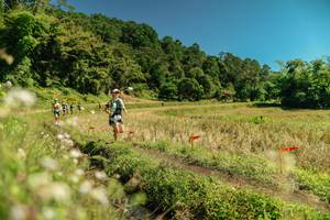 BIB: 
                            <button type="button" onclick="openModal(26724296)" class="btn btn-primary btn-sm float-right btn-popup" data-toggle="modal" data-target=".modal-high-quality">
                        <i class="fas fa-shopping-cart"></i> Add to Cart
                    </button>
                                            <button type="button" onclick="isThisMe(26724296, true)" class="btn btn-success btn-sm float-right btn-popup btn-isme hidden" data-toggle="tooltip" data-placement="bottom" title="นี่คือรูปของคุณใช่ไหม คลิกที่นี่เพื่อเอาเข้าอัลบั้ม">
                        <i class="fas fa-plus"></i> Add to album
                    </button>
                    <button type="button" onclick="isThisMe(26724296, false)" class="btn btn-warning btn-sm float-right btn-popup btn-isnotme hidden">
                        <i class="fas fa-ban"></i> Remove from album
                    </button>