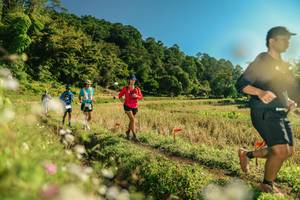 BIB: 
                            <button type="button" onclick="openModal(26638777)" class="btn btn-primary btn-sm float-right btn-popup" data-toggle="modal" data-target=".modal-high-quality">
                        <i class="fas fa-shopping-cart"></i> Add to Cart
                    </button>
                                            <button type="button" onclick="isThisMe(26638777, true)" class="btn btn-success btn-sm float-right btn-popup btn-isme hidden" data-toggle="tooltip" data-placement="bottom" title="นี่คือรูปของคุณใช่ไหม คลิกที่นี่เพื่อเอาเข้าอัลบั้ม">
                        <i class="fas fa-plus"></i> Add to album
                    </button>
                    <button type="button" onclick="isThisMe(26638777, false)" class="btn btn-warning btn-sm float-right btn-popup btn-isnotme hidden">
                        <i class="fas fa-ban"></i> Remove from album
                    </button>