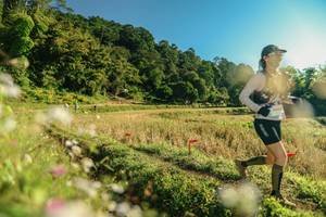 BIB: 
                            <button type="button" onclick="openModal(26636965)" class="btn btn-primary btn-sm float-right btn-popup" data-toggle="modal" data-target=".modal-high-quality">
                        <i class="fas fa-shopping-cart"></i> Add to Cart
                    </button>
                                            <button type="button" onclick="isThisMe(26636965, true)" class="btn btn-success btn-sm float-right btn-popup btn-isme hidden" data-toggle="tooltip" data-placement="bottom" title="นี่คือรูปของคุณใช่ไหม คลิกที่นี่เพื่อเอาเข้าอัลบั้ม">
                        <i class="fas fa-plus"></i> Add to album
                    </button>
                    <button type="button" onclick="isThisMe(26636965, false)" class="btn btn-warning btn-sm float-right btn-popup btn-isnotme hidden">
                        <i class="fas fa-ban"></i> Remove from album
                    </button>