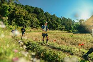 BIB: 
                            <button type="button" onclick="openModal(26638044)" class="btn btn-primary btn-sm float-right btn-popup" data-toggle="modal" data-target=".modal-high-quality">
                        <i class="fas fa-shopping-cart"></i> Add to Cart
                    </button>
                                            <button type="button" onclick="isThisMe(26638044, true)" class="btn btn-success btn-sm float-right btn-popup btn-isme hidden" data-toggle="tooltip" data-placement="bottom" title="นี่คือรูปของคุณใช่ไหม คลิกที่นี่เพื่อเอาเข้าอัลบั้ม">
                        <i class="fas fa-plus"></i> Add to album
                    </button>
                    <button type="button" onclick="isThisMe(26638044, false)" class="btn btn-warning btn-sm float-right btn-popup btn-isnotme hidden">
                        <i class="fas fa-ban"></i> Remove from album
                    </button>