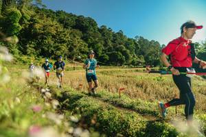 BIB: 
                            <button type="button" onclick="openModal(26637196)" class="btn btn-primary btn-sm float-right btn-popup" data-toggle="modal" data-target=".modal-high-quality">
                        <i class="fas fa-shopping-cart"></i> Add to Cart
                    </button>
                                            <button type="button" onclick="isThisMe(26637196, true)" class="btn btn-success btn-sm float-right btn-popup btn-isme hidden" data-toggle="tooltip" data-placement="bottom" title="นี่คือรูปของคุณใช่ไหม คลิกที่นี่เพื่อเอาเข้าอัลบั้ม">
                        <i class="fas fa-plus"></i> Add to album
                    </button>
                    <button type="button" onclick="isThisMe(26637196, false)" class="btn btn-warning btn-sm float-right btn-popup btn-isnotme hidden">
                        <i class="fas fa-ban"></i> Remove from album
                    </button>