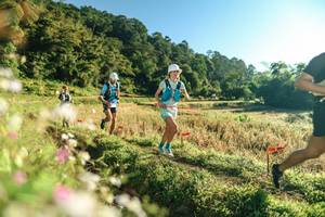 BIB: 
                            <button type="button" onclick="openModal(26633181)" class="btn btn-primary btn-sm float-right btn-popup" data-toggle="modal" data-target=".modal-high-quality">
                        <i class="fas fa-shopping-cart"></i> Add to Cart
                    </button>
                                            <button type="button" onclick="isThisMe(26633181, true)" class="btn btn-success btn-sm float-right btn-popup btn-isme hidden" data-toggle="tooltip" data-placement="bottom" title="นี่คือรูปของคุณใช่ไหม คลิกที่นี่เพื่อเอาเข้าอัลบั้ม">
                        <i class="fas fa-plus"></i> Add to album
                    </button>
                    <button type="button" onclick="isThisMe(26633181, false)" class="btn btn-warning btn-sm float-right btn-popup btn-isnotme hidden">
                        <i class="fas fa-ban"></i> Remove from album
                    </button>