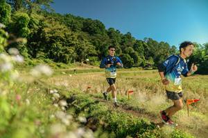 BIB: 
                            <button type="button" onclick="openModal(26710758)" class="btn btn-primary btn-sm float-right btn-popup" data-toggle="modal" data-target=".modal-high-quality">
                        <i class="fas fa-shopping-cart"></i> Add to Cart
                    </button>
                                            <button type="button" onclick="isThisMe(26710758, true)" class="btn btn-success btn-sm float-right btn-popup btn-isme hidden" data-toggle="tooltip" data-placement="bottom" title="นี่คือรูปของคุณใช่ไหม คลิกที่นี่เพื่อเอาเข้าอัลบั้ม">
                        <i class="fas fa-plus"></i> Add to album
                    </button>
                    <button type="button" onclick="isThisMe(26710758, false)" class="btn btn-warning btn-sm float-right btn-popup btn-isnotme hidden">
                        <i class="fas fa-ban"></i> Remove from album
                    </button>