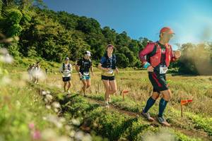 BIB: 
                            <button type="button" onclick="openModal(26691786)" class="btn btn-primary btn-sm float-right btn-popup" data-toggle="modal" data-target=".modal-high-quality">
                        <i class="fas fa-shopping-cart"></i> Add to Cart
                    </button>
                                            <button type="button" onclick="isThisMe(26691786, true)" class="btn btn-success btn-sm float-right btn-popup btn-isme hidden" data-toggle="tooltip" data-placement="bottom" title="นี่คือรูปของคุณใช่ไหม คลิกที่นี่เพื่อเอาเข้าอัลบั้ม">
                        <i class="fas fa-plus"></i> Add to album
                    </button>
                    <button type="button" onclick="isThisMe(26691786, false)" class="btn btn-warning btn-sm float-right btn-popup btn-isnotme hidden">
                        <i class="fas fa-ban"></i> Remove from album
                    </button>