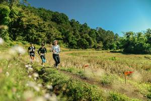 BIB: 
                            <button type="button" onclick="openModal(26712486)" class="btn btn-primary btn-sm float-right btn-popup" data-toggle="modal" data-target=".modal-high-quality">
                        <i class="fas fa-shopping-cart"></i> Add to Cart
                    </button>
                                            <button type="button" onclick="isThisMe(26712486, true)" class="btn btn-success btn-sm float-right btn-popup btn-isme hidden" data-toggle="tooltip" data-placement="bottom" title="นี่คือรูปของคุณใช่ไหม คลิกที่นี่เพื่อเอาเข้าอัลบั้ม">
                        <i class="fas fa-plus"></i> Add to album
                    </button>
                    <button type="button" onclick="isThisMe(26712486, false)" class="btn btn-warning btn-sm float-right btn-popup btn-isnotme hidden">
                        <i class="fas fa-ban"></i> Remove from album
                    </button>