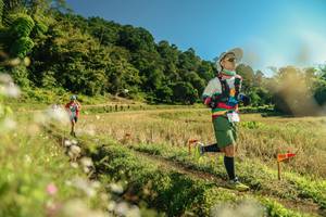 BIB: 
                            <button type="button" onclick="openModal(26681392)" class="btn btn-primary btn-sm float-right btn-popup" data-toggle="modal" data-target=".modal-high-quality">
                        <i class="fas fa-shopping-cart"></i> Add to Cart
                    </button>
                                            <button type="button" onclick="isThisMe(26681392, true)" class="btn btn-success btn-sm float-right btn-popup btn-isme hidden" data-toggle="tooltip" data-placement="bottom" title="นี่คือรูปของคุณใช่ไหม คลิกที่นี่เพื่อเอาเข้าอัลบั้ม">
                        <i class="fas fa-plus"></i> Add to album
                    </button>
                    <button type="button" onclick="isThisMe(26681392, false)" class="btn btn-warning btn-sm float-right btn-popup btn-isnotme hidden">
                        <i class="fas fa-ban"></i> Remove from album
                    </button>