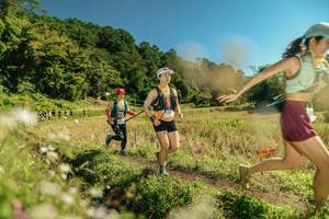 BIB: 
                            <button type="button" onclick="openModal(26700872)" class="btn btn-primary btn-sm float-right btn-popup" data-toggle="modal" data-target=".modal-high-quality">
                        <i class="fas fa-shopping-cart"></i> Add to Cart
                    </button>
                                            <button type="button" onclick="isThisMe(26700872, true)" class="btn btn-success btn-sm float-right btn-popup btn-isme hidden" data-toggle="tooltip" data-placement="bottom" title="นี่คือรูปของคุณใช่ไหม คลิกที่นี่เพื่อเอาเข้าอัลบั้ม">
                        <i class="fas fa-plus"></i> Add to album
                    </button>
                    <button type="button" onclick="isThisMe(26700872, false)" class="btn btn-warning btn-sm float-right btn-popup btn-isnotme hidden">
                        <i class="fas fa-ban"></i> Remove from album
                    </button>