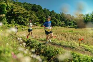 BIB: 
                            <button type="button" onclick="openModal(26698966)" class="btn btn-primary btn-sm float-right btn-popup" data-toggle="modal" data-target=".modal-high-quality">
                        <i class="fas fa-shopping-cart"></i> Add to Cart
                    </button>
                                            <button type="button" onclick="isThisMe(26698966, true)" class="btn btn-success btn-sm float-right btn-popup btn-isme hidden" data-toggle="tooltip" data-placement="bottom" title="นี่คือรูปของคุณใช่ไหม คลิกที่นี่เพื่อเอาเข้าอัลบั้ม">
                        <i class="fas fa-plus"></i> Add to album
                    </button>
                    <button type="button" onclick="isThisMe(26698966, false)" class="btn btn-warning btn-sm float-right btn-popup btn-isnotme hidden">
                        <i class="fas fa-ban"></i> Remove from album
                    </button>