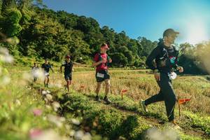 BIB: 
                            <button type="button" onclick="openModal(26637513)" class="btn btn-primary btn-sm float-right btn-popup" data-toggle="modal" data-target=".modal-high-quality">
                        <i class="fas fa-shopping-cart"></i> Add to Cart
                    </button>
                                            <button type="button" onclick="isThisMe(26637513, true)" class="btn btn-success btn-sm float-right btn-popup btn-isme hidden" data-toggle="tooltip" data-placement="bottom" title="นี่คือรูปของคุณใช่ไหม คลิกที่นี่เพื่อเอาเข้าอัลบั้ม">
                        <i class="fas fa-plus"></i> Add to album
                    </button>
                    <button type="button" onclick="isThisMe(26637513, false)" class="btn btn-warning btn-sm float-right btn-popup btn-isnotme hidden">
                        <i class="fas fa-ban"></i> Remove from album
                    </button>