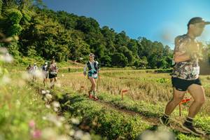 BIB: 
                            <button type="button" onclick="openModal(26688670)" class="btn btn-primary btn-sm float-right btn-popup" data-toggle="modal" data-target=".modal-high-quality">
                        <i class="fas fa-shopping-cart"></i> Add to Cart
                    </button>
                                            <button type="button" onclick="isThisMe(26688670, true)" class="btn btn-success btn-sm float-right btn-popup btn-isme hidden" data-toggle="tooltip" data-placement="bottom" title="นี่คือรูปของคุณใช่ไหม คลิกที่นี่เพื่อเอาเข้าอัลบั้ม">
                        <i class="fas fa-plus"></i> Add to album
                    </button>
                    <button type="button" onclick="isThisMe(26688670, false)" class="btn btn-warning btn-sm float-right btn-popup btn-isnotme hidden">
                        <i class="fas fa-ban"></i> Remove from album
                    </button>