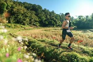 BIB: 
                            <button type="button" onclick="openModal(26632501)" class="btn btn-primary btn-sm float-right btn-popup" data-toggle="modal" data-target=".modal-high-quality">
                        <i class="fas fa-shopping-cart"></i> Add to Cart
                    </button>
                                            <button type="button" onclick="isThisMe(26632501, true)" class="btn btn-success btn-sm float-right btn-popup btn-isme hidden" data-toggle="tooltip" data-placement="bottom" title="นี่คือรูปของคุณใช่ไหม คลิกที่นี่เพื่อเอาเข้าอัลบั้ม">
                        <i class="fas fa-plus"></i> Add to album
                    </button>
                    <button type="button" onclick="isThisMe(26632501, false)" class="btn btn-warning btn-sm float-right btn-popup btn-isnotme hidden">
                        <i class="fas fa-ban"></i> Remove from album
                    </button>