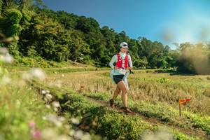 BIB: 
                            <button type="button" onclick="openModal(26689767)" class="btn btn-primary btn-sm float-right btn-popup" data-toggle="modal" data-target=".modal-high-quality">
                        <i class="fas fa-shopping-cart"></i> Add to Cart
                    </button>
                                            <button type="button" onclick="isThisMe(26689767, true)" class="btn btn-success btn-sm float-right btn-popup btn-isme hidden" data-toggle="tooltip" data-placement="bottom" title="นี่คือรูปของคุณใช่ไหม คลิกที่นี่เพื่อเอาเข้าอัลบั้ม">
                        <i class="fas fa-plus"></i> Add to album
                    </button>
                    <button type="button" onclick="isThisMe(26689767, false)" class="btn btn-warning btn-sm float-right btn-popup btn-isnotme hidden">
                        <i class="fas fa-ban"></i> Remove from album
                    </button>