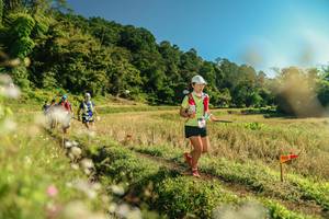 BIB: 
                            <button type="button" onclick="openModal(26681782)" class="btn btn-primary btn-sm float-right btn-popup" data-toggle="modal" data-target=".modal-high-quality">
                        <i class="fas fa-shopping-cart"></i> Add to Cart
                    </button>
                                            <button type="button" onclick="isThisMe(26681782, true)" class="btn btn-success btn-sm float-right btn-popup btn-isme hidden" data-toggle="tooltip" data-placement="bottom" title="นี่คือรูปของคุณใช่ไหม คลิกที่นี่เพื่อเอาเข้าอัลบั้ม">
                        <i class="fas fa-plus"></i> Add to album
                    </button>
                    <button type="button" onclick="isThisMe(26681782, false)" class="btn btn-warning btn-sm float-right btn-popup btn-isnotme hidden">
                        <i class="fas fa-ban"></i> Remove from album
                    </button>