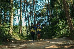 BIB: 
                            <button type="button" onclick="openModal(26627641)" class="btn btn-primary btn-sm float-right btn-popup" data-toggle="modal" data-target=".modal-high-quality">
                        <i class="fas fa-shopping-cart"></i> Add to Cart
                    </button>
                                            <button type="button" onclick="isThisMe(26627641, true)" class="btn btn-success btn-sm float-right btn-popup btn-isme hidden" data-toggle="tooltip" data-placement="bottom" title="นี่คือรูปของคุณใช่ไหม คลิกที่นี่เพื่อเอาเข้าอัลบั้ม">
                        <i class="fas fa-plus"></i> Add to album
                    </button>
                    <button type="button" onclick="isThisMe(26627641, false)" class="btn btn-warning btn-sm float-right btn-popup btn-isnotme hidden">
                        <i class="fas fa-ban"></i> Remove from album
                    </button>