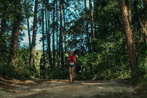 BIB: 
                            <button type="button" onclick="openModal(26628841)" class="btn btn-primary btn-sm float-right btn-popup" data-toggle="modal" data-target=".modal-high-quality">
                        <i class="fas fa-shopping-cart"></i> Add to Cart
                    </button>
                                            <button type="button" onclick="isThisMe(26628841, true)" class="btn btn-success btn-sm float-right btn-popup btn-isme hidden" data-toggle="tooltip" data-placement="bottom" title="นี่คือรูปของคุณใช่ไหม คลิกที่นี่เพื่อเอาเข้าอัลบั้ม">
                        <i class="fas fa-plus"></i> Add to album
                    </button>
                    <button type="button" onclick="isThisMe(26628841, false)" class="btn btn-warning btn-sm float-right btn-popup btn-isnotme hidden">
                        <i class="fas fa-ban"></i> Remove from album
                    </button>