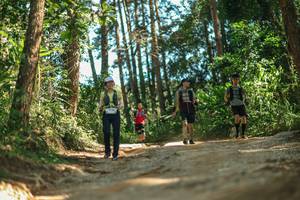 BIB: 
                            <button type="button" onclick="openModal(26625603)" class="btn btn-primary btn-sm float-right btn-popup" data-toggle="modal" data-target=".modal-high-quality">
                        <i class="fas fa-shopping-cart"></i> Add to Cart
                    </button>
                                            <button type="button" onclick="isThisMe(26625603, true)" class="btn btn-success btn-sm float-right btn-popup btn-isme hidden" data-toggle="tooltip" data-placement="bottom" title="นี่คือรูปของคุณใช่ไหม คลิกที่นี่เพื่อเอาเข้าอัลบั้ม">
                        <i class="fas fa-plus"></i> Add to album
                    </button>
                    <button type="button" onclick="isThisMe(26625603, false)" class="btn btn-warning btn-sm float-right btn-popup btn-isnotme hidden">
                        <i class="fas fa-ban"></i> Remove from album
                    </button>