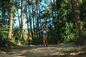 BIB: 
                            <button type="button" onclick="openModal(26627605)" class="btn btn-primary btn-sm float-right btn-popup" data-toggle="modal" data-target=".modal-high-quality">
                        <i class="fas fa-shopping-cart"></i> Add to Cart
                    </button>
                                            <button type="button" onclick="isThisMe(26627605, true)" class="btn btn-success btn-sm float-right btn-popup btn-isme hidden" data-toggle="tooltip" data-placement="bottom" title="นี่คือรูปของคุณใช่ไหม คลิกที่นี่เพื่อเอาเข้าอัลบั้ม">
                        <i class="fas fa-plus"></i> Add to album
                    </button>
                    <button type="button" onclick="isThisMe(26627605, false)" class="btn btn-warning btn-sm float-right btn-popup btn-isnotme hidden">
                        <i class="fas fa-ban"></i> Remove from album
                    </button>