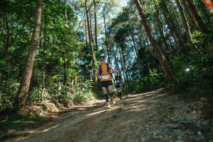 BIB: 
                            <button type="button" onclick="openModal(26625297)" class="btn btn-primary btn-sm float-right btn-popup" data-toggle="modal" data-target=".modal-high-quality">
                        <i class="fas fa-shopping-cart"></i> Add to Cart
                    </button>
                                            <button type="button" onclick="isThisMe(26625297, true)" class="btn btn-success btn-sm float-right btn-popup btn-isme hidden" data-toggle="tooltip" data-placement="bottom" title="นี่คือรูปของคุณใช่ไหม คลิกที่นี่เพื่อเอาเข้าอัลบั้ม">
                        <i class="fas fa-plus"></i> Add to album
                    </button>
                    <button type="button" onclick="isThisMe(26625297, false)" class="btn btn-warning btn-sm float-right btn-popup btn-isnotme hidden">
                        <i class="fas fa-ban"></i> Remove from album
                    </button>