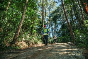 BIB: 
                            <button type="button" onclick="openModal(26625156)" class="btn btn-primary btn-sm float-right btn-popup" data-toggle="modal" data-target=".modal-high-quality">
                        <i class="fas fa-shopping-cart"></i> Add to Cart
                    </button>
                                            <button type="button" onclick="isThisMe(26625156, true)" class="btn btn-success btn-sm float-right btn-popup btn-isme hidden" data-toggle="tooltip" data-placement="bottom" title="นี่คือรูปของคุณใช่ไหม คลิกที่นี่เพื่อเอาเข้าอัลบั้ม">
                        <i class="fas fa-plus"></i> Add to album
                    </button>
                    <button type="button" onclick="isThisMe(26625156, false)" class="btn btn-warning btn-sm float-right btn-popup btn-isnotme hidden">
                        <i class="fas fa-ban"></i> Remove from album
                    </button>