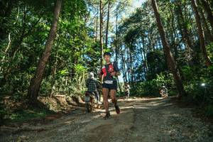 BIB: 
                            <button type="button" onclick="openModal(26625427)" class="btn btn-primary btn-sm float-right btn-popup" data-toggle="modal" data-target=".modal-high-quality">
                        <i class="fas fa-shopping-cart"></i> Add to Cart
                    </button>
                                            <button type="button" onclick="isThisMe(26625427, true)" class="btn btn-success btn-sm float-right btn-popup btn-isme hidden" data-toggle="tooltip" data-placement="bottom" title="นี่คือรูปของคุณใช่ไหม คลิกที่นี่เพื่อเอาเข้าอัลบั้ม">
                        <i class="fas fa-plus"></i> Add to album
                    </button>
                    <button type="button" onclick="isThisMe(26625427, false)" class="btn btn-warning btn-sm float-right btn-popup btn-isnotme hidden">
                        <i class="fas fa-ban"></i> Remove from album
                    </button>